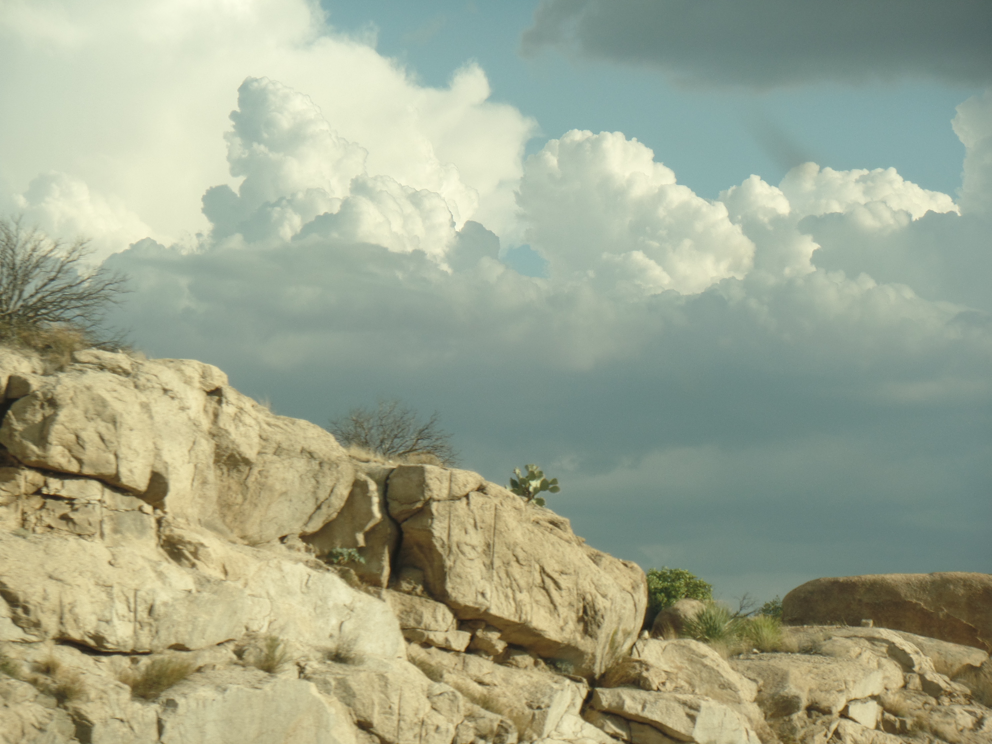 SAMSUNG CAMERA PICTURES