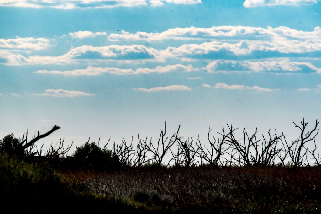 Oh, the love of God… A Story of&nbsp;Hope